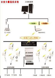 昆侖海岸攜手現代農業創新基地，智慧農業再提速物聯網技術研發